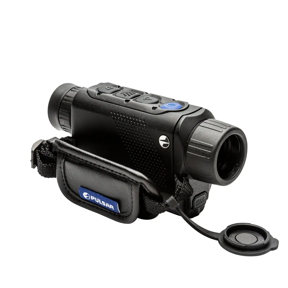 Pulsar Axion